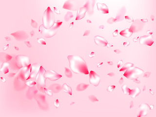 Japanese cherry blossom pink flying petals