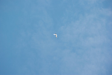 Exciting Air-Show in the airport