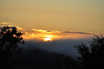Sonnenuntergang Garten