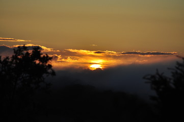 Fototapeta premium Sonnenuntergang Garten