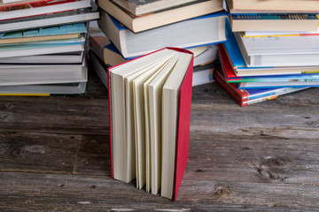 one book in front of piles of different books