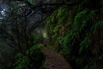 Hike on Madeira adventurous walks