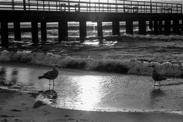 Pier in Ustronie Morskie © RegnumInvictum