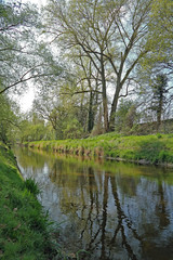 Rheinaltgewässer