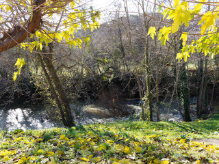 La Bresque en amont de la chute de Sillans-la-Cascade, affluent de l'Argens en Provence,...