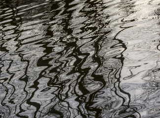 Abstract reflection of trees in the water of a river.