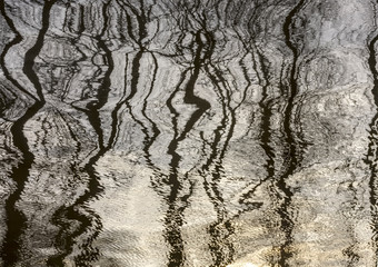 Abstract reflection of trees in the water of a river.