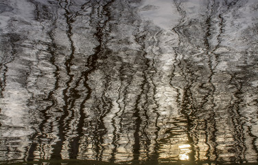 Abstract reflection of trees in the water of a river.