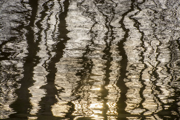 Obraz premium Abstract reflection of trees in the water of a river.