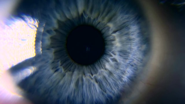 Close-up. Macro Blue Female Human Eye. Pupil Cornea Iris Eyeball Eyelashes. Blink Open Closed. 30p Slow motion 1/2 Real Time Speed 60p