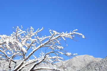  It was so cold in midwinter