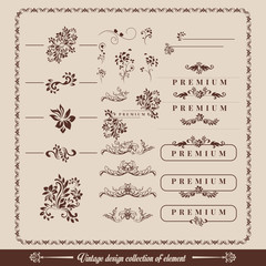 Calligraphic design elements. Decorative swirls or scrolls, vintage elements, flourishes, labels and dividers,. Retro vector illustration