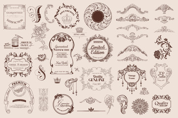 set of calligraphic elements for design and scrapbook in vector