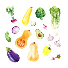 A colored sketch of vegetables. Paprika, chilli pepper, radish, eggplant, tomatoes, onion, cucumber, garlic painted with watercolor on a white background. Food picture
