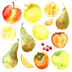 Lemon, apricot, peach, orange, pear, papaya, pomegranate, berries painted with watercolor on a white background. A colored sketch of fruits.