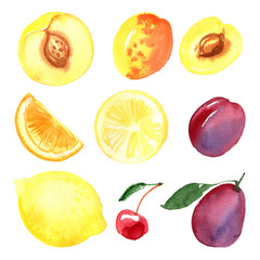 Lemon, apricot, peach, orange, pear, papaya, pomegranate, berries painted with watercolor on a white background. A colored sketch of fruits.