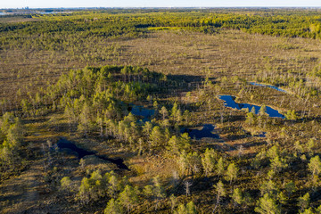 Sunset in the bog, golden marsh, lakes and nature environment. Sundown evening light in summer