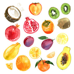 Fruits. Papaya, Kiwi, Pomegranate, Blueberry, Banana, Orange, Coconut painted with watercolor on a white background. A colored sketch of fruits.