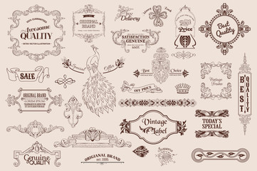 set of calligraphic design elements creative modern vintage calligraphic design elements. Decorative swirls or scrolls, vintage elements, flourishes, labels and dividers,. Retro vector illustration