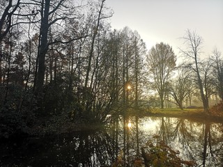 Obraz premium forest and beautiful landscape photo with nice light colors and sense of peace from god creation
