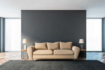 Gray living room interior with beige sofa