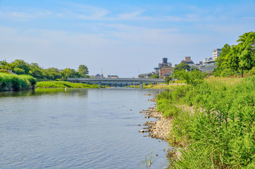 京都の鴨川