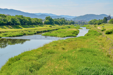 Fototapeta na wymiar 京都の賀茂川