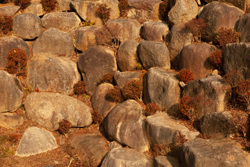 산 속 풍경