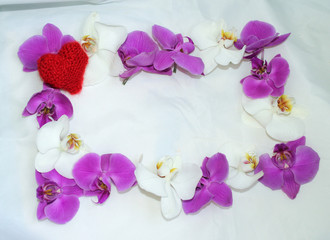 Horizontal frame of white and purple Orchid flowers with a red knitted heart