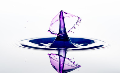 Water splash. drops collision