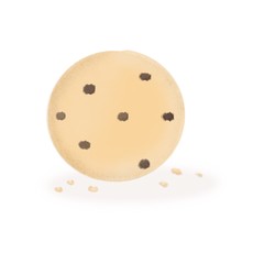 cute hand painted cookie isolated on white background