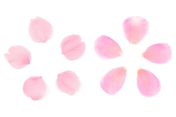 ピンク 花びら アブストラクト 春 白背景 Wall Mural Wallpaper Murals Naoki Kim ピンク 花びら アブストラクト 春 白背景 Wall Mural Wallpaper Murals Naoki Kim