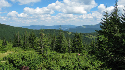 view of the Carpathian mountains on a sunny summer day from the top of Goverla Mountain, Carpathians, Ukraine