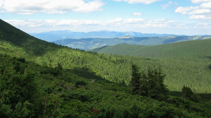 Obraz premium view of the Carpathian mountains on a sunny summer day from the top of Goverla Mountain, Carpathians, Ukraine