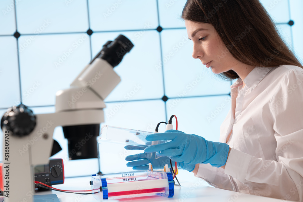 Poster loading samples and running an agarose gel for electrophoresis, gel electrophoresis is the standard 