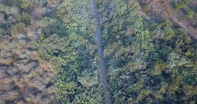 Aerial footage over Jordan River, Beit Shean Valley Jordan River, Beit Shean Valley, Drone shot, Israel