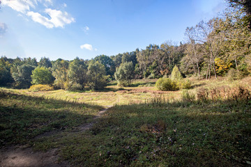 Fototapeta na wymiar Autumn. Dry pond surrounded by trees with yellow leaves in the park Kuskovo. Moscow
