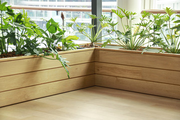 Philodendrons in wooden box planter beside a glass window to create a sustainable and gender neutral living space in the home that promotes holistic health and wellness