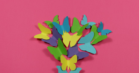 Colored butterflies fly around on a colored paper background.