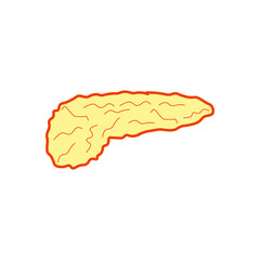 pancreas shaped anatomical vector icon
