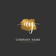 Handwritten initial letter A Y AY for identity and logo. Vector logo template with handwriting and signature style.