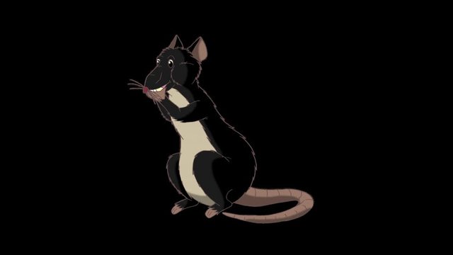 Black rat crawls out and eats cheese animation Alpha Matte