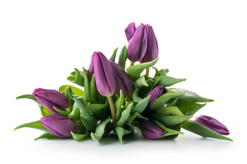 Bouquet of purple tulips isolated on white