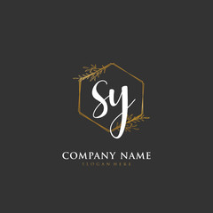 Handwritten initial letter S Y SY for identity and logo. Vector logo template with handwriting and signature style.