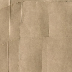 Close up grainy decorative light brown vintage rough sheet of carton. Cardboard paper texture blank background. Brown color old pattern empty papercraft surface. Recycled ecology friendly material.