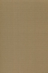 Close up grainy decorative light brown vintage rough sheet of carton. Cardboard paper texture blank background. Brown color old pattern empty papercraft surface. Recycled ecology friendly material.
