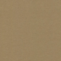 Fototapeta na wymiar Close up grainy decorative light brown vintage rough sheet of carton. Cardboard paper texture blank background. Brown color old pattern empty papercraft surface. Recycled ecology friendly material.