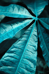 Classic blue background with leaves detail. Color of 2020. Vertical.