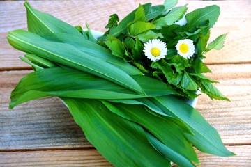 wildkräuter  für den salat © Christine