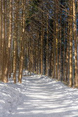 Naklejka premium 金剛山